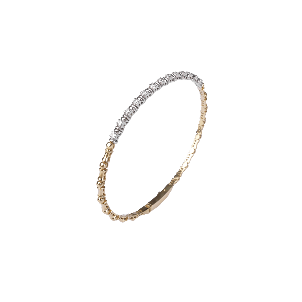 6023 Ապարանջան - Image 1