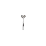 Ring - Image 4