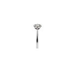 Ring - Image 2