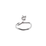 Ring - Image 3