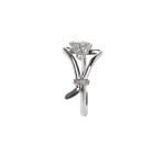 Ring - Image 2